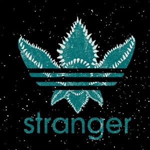 Meet your Posher, Riley